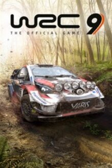 WRC 9 FIA World Rally Championship PS Oyun kullananlar yorumlar